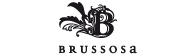 Dise�o web Brussosa