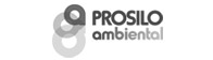 Disseny web Prosilo Ambiental